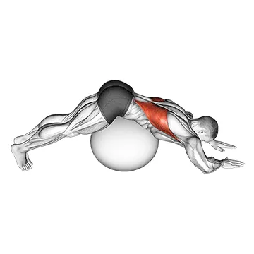 Animated demonstration: exercise ball lower back stretch (pyramid) — target lats