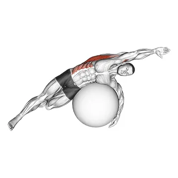 Animated demonstration: exercise ball lying side lat stretch — target lats