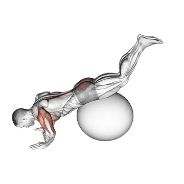 Animated demonstration: exercise ball prone leg raise — target spine