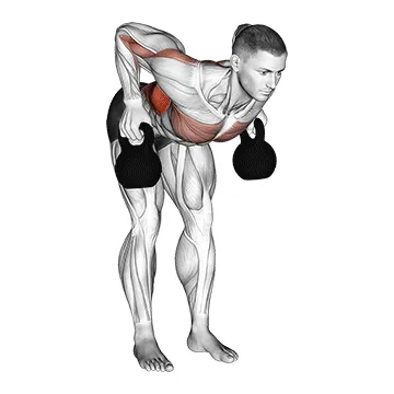 Animated demonstration: kettlebell two arm row — target upper back