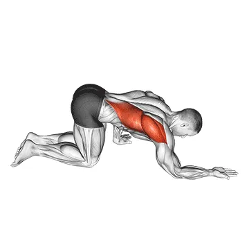 Animated demonstration: kneeling lat stretch — target lats