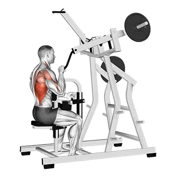 Animated demonstration: lever one arm lateral wide pulldown — target lats