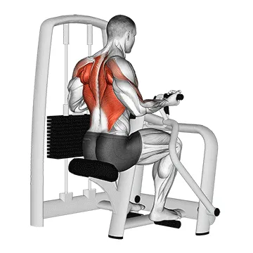 Animated demonstration: lever reverse grip vertical row — target upper back