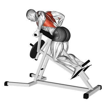 Animated demonstration: lever reverse t-bar row — target upper back