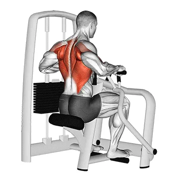 Animated demonstration: lever seated row — target upper back