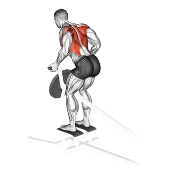 Animated demonstration: lever t-bar reverse grip row — target upper back