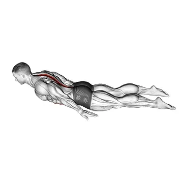 Animated demonstration: lower back curl — target spine