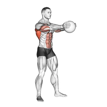 Animated demonstration: medicine ball catch and overhead throw — target lats