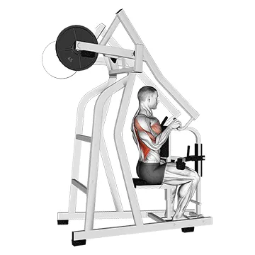 Animated demonstration: lever one arm lateral high row — target upper back