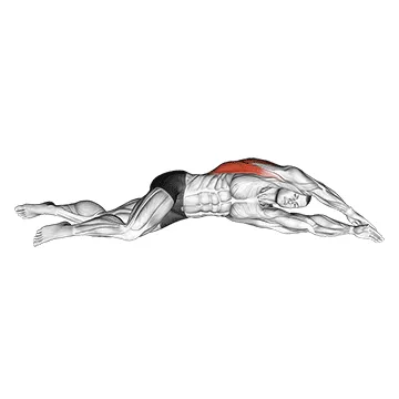 Animated demonstration: side lying floor stretch — target lats