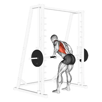 Animated demonstration: smith one arm row — target upper back