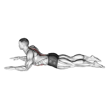 Animated demonstration: sphinx — target spine