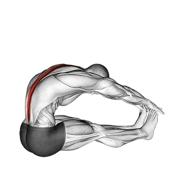 Animated demonstration: spine stretch — target spine