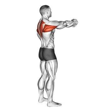 Animated demonstration: upper back stretch — target upper back