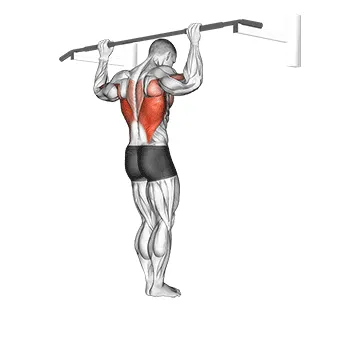 Animated demonstration: wide grip rear pull-up — target lats