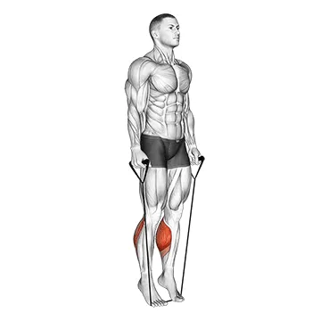 Animated demonstration: band two legs calf raise - (band under both legs) v. 2 — target calves