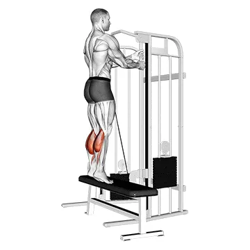 Animated demonstration: cable standing calf raise — target calves