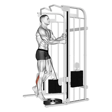 Animated demonstration: cable standing one leg calf raise — target calves