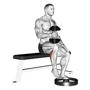 Animated demonstration: dumbbell seated one leg calf raise - hammer grip — target calves