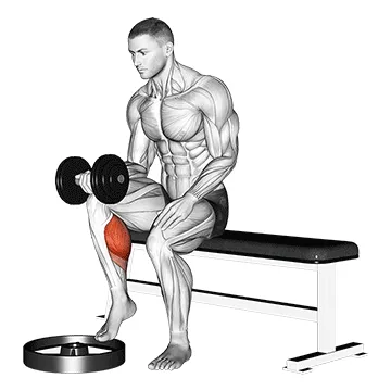 Animated demonstration: dumbbell seated one leg calf raise - palm up — target calves