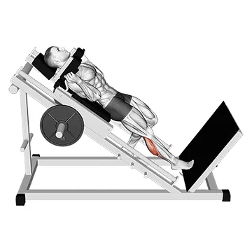 Animated demonstration: hack one leg calf raise — target calves