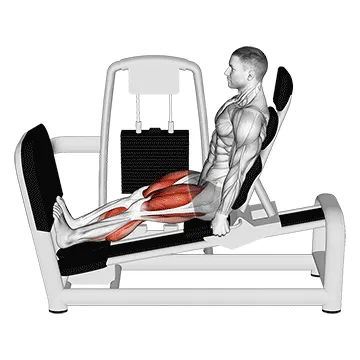 Animated demonstration: lever seated squat calf raise on leg press machine — target calves