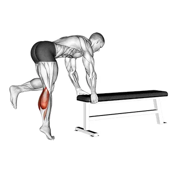 Animated demonstration: one leg donkey calf raise — target calves