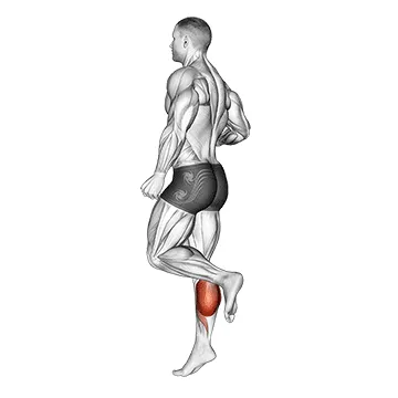 Animated demonstration: one leg floor calf raise — target calves
