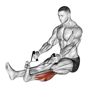 Animated demonstration: peroneals stretch — target calves