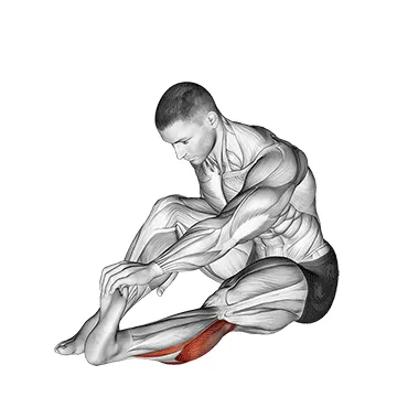 Animated demonstration: seated calf stretch (male) — target calves