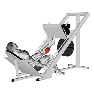 Animated demonstration: sled one leg calf press on leg press — target calves