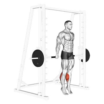 Animated demonstration: smith reverse calf raises — target calves