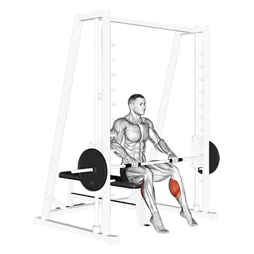Animated demonstration: smith toe raise — target calves