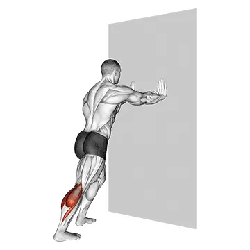 Animated demonstration: standing calves — target calves