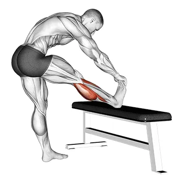 Animated demonstration: standing calves calf stretch — target calves