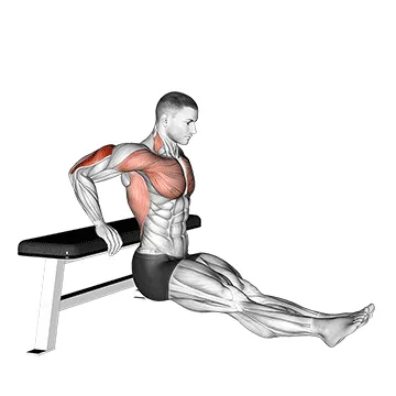 Animated demonstration: bench dip on floor — target triceps