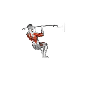 Animated demonstration: muscle-up (on vertical bar) — target lats