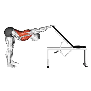 Animated demonstration: back pec stretch — target lats