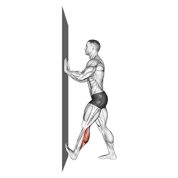 Animated demonstration: calf push stretch with hands against wall — target calves