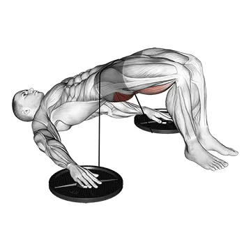 Animated demonstration: band hip lift — target glutes