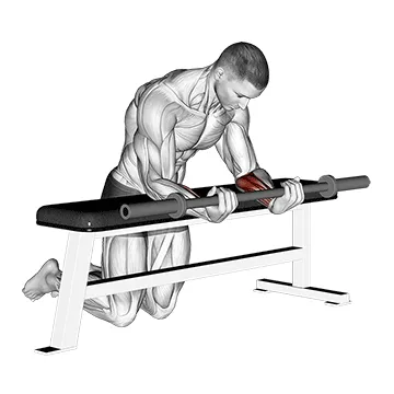 Animated demonstration: barbell palms up wrist curl over a bench — target forearms