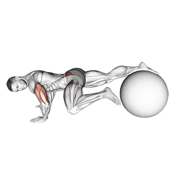 Animated demonstration: exercise ball one leg prone lower body rotation — target glutes