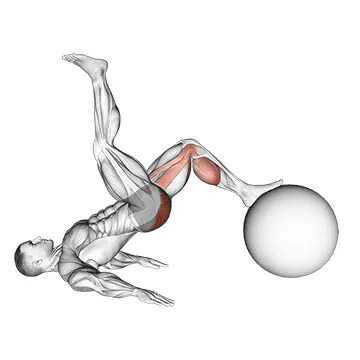 Animated demonstration: exercise ball one legged diagonal kick hamstring curl — target glutes