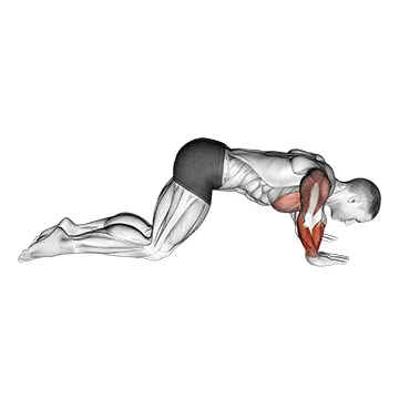 Animated demonstration: modified push up to lower arms — target forearms