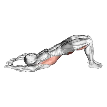 Animated demonstration: pelvic tilt into bridge — target glutes