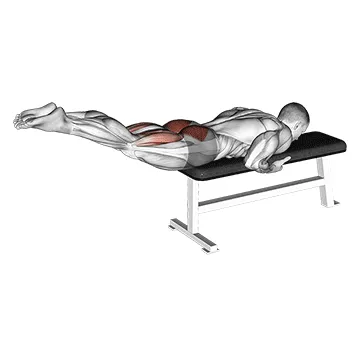 Animated demonstration: reverse hyper on flat bench — target glutes