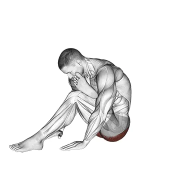 Animated demonstration: seated glute stretch — target glutes