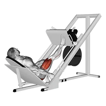 Animated demonstration: sled 45 degrees one leg press — target glutes