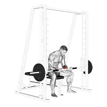 Animated demonstration: smith seated wrist curl — target forearms