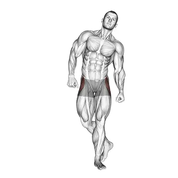 Animated demonstration: straight leg outer hip abductor — target abductors